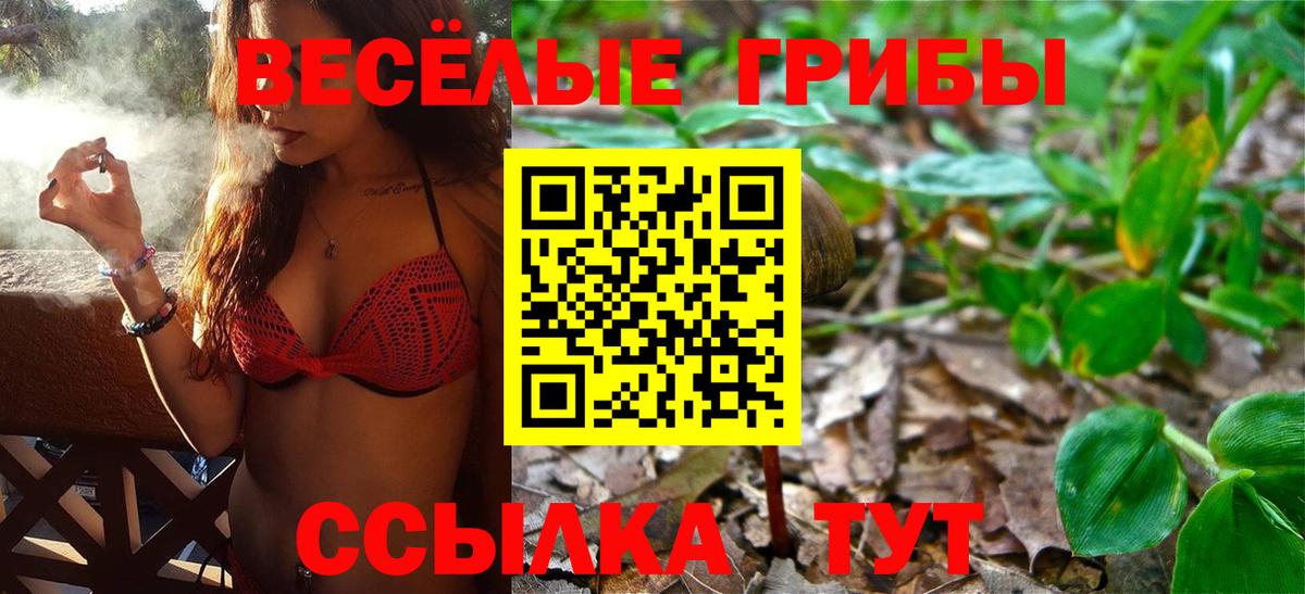 Галлюциногенные грибы мицелий Казань